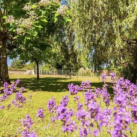 Cozy Holiday In With Swimming Pool Сasa de vacaciones